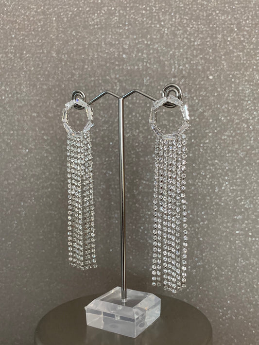 Fringe Rhinestone Earings